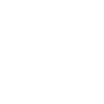 stats-icon