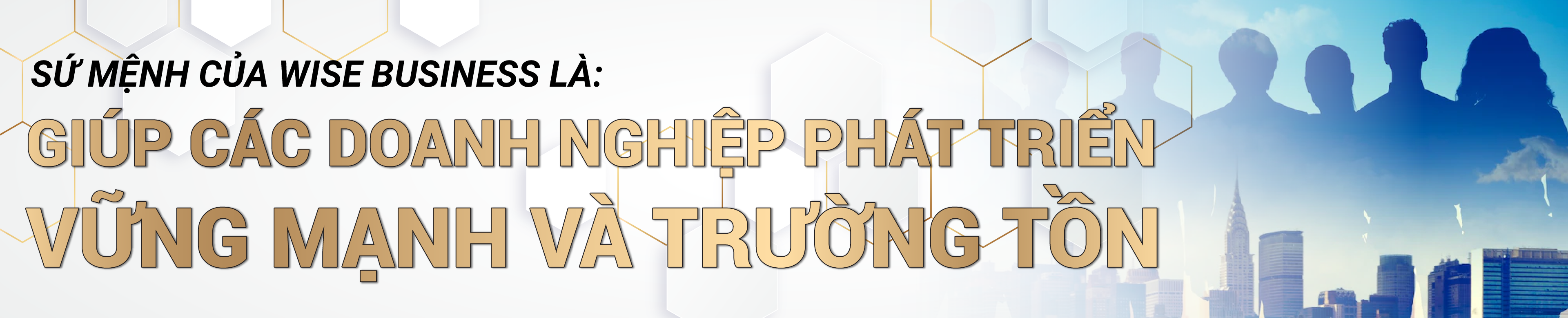 sứ mệnh wise business