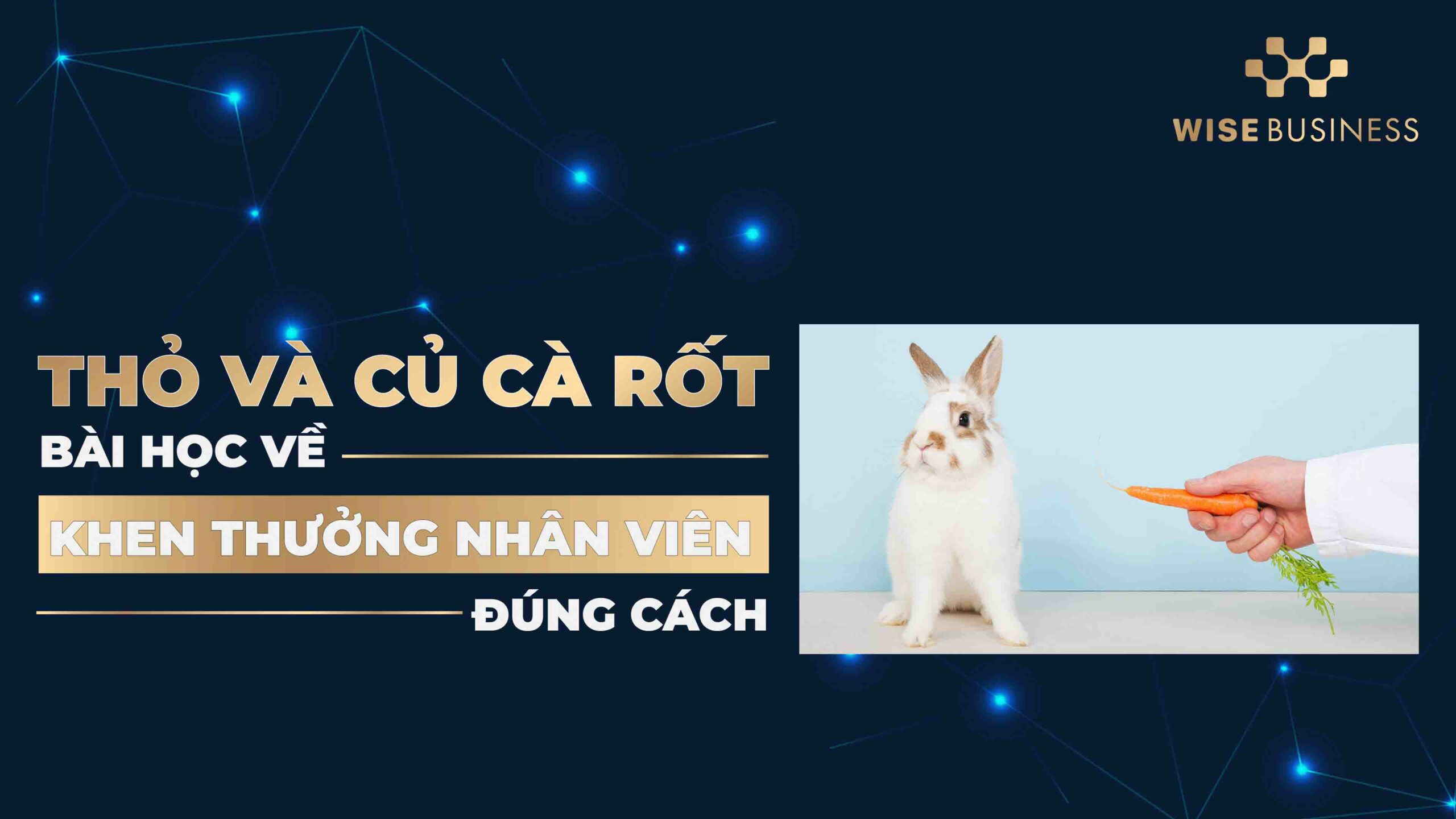 Cau-chuyen-tho-va-cu-ca-rot (2).jpg