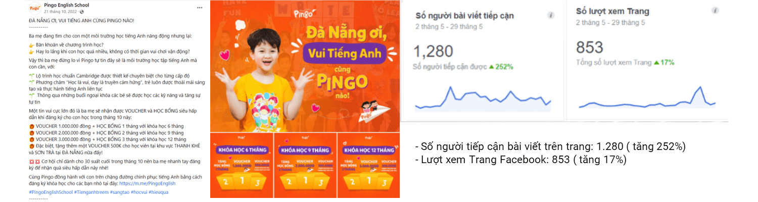 pingo