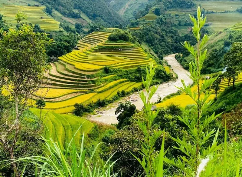 cac linh vuc kinh doanh pho bien hien nay 66bc394d81b9c