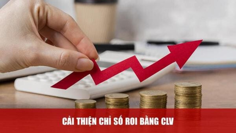 toi-uu-hoa-chi-so-roi