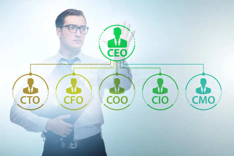 CEO CFO CIO