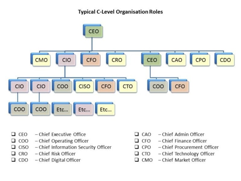 CEO CFO CIO