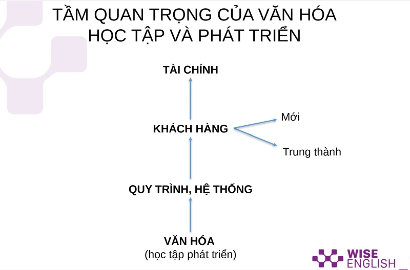 Tầm quan trọng của văn hóa học tập và phát triển trong doanh nghiệp?