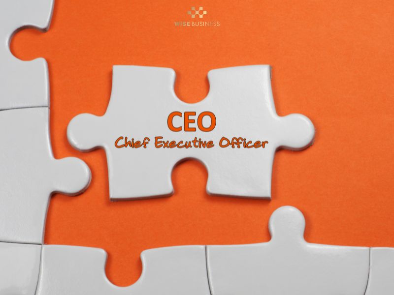 Thực trạng CEO Beginner tại Việt Nam