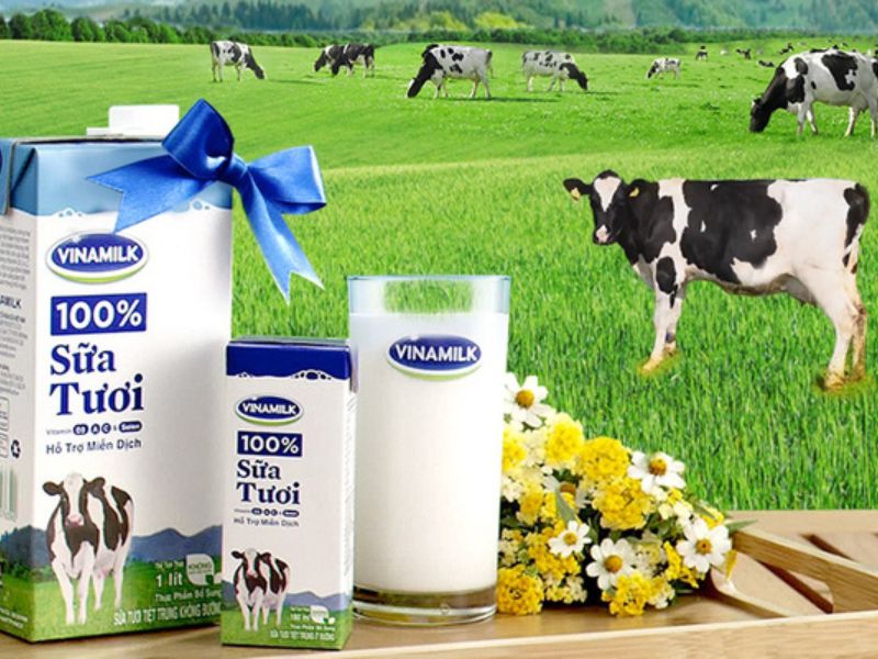 QUẢN LÝ DÒNG TIỀN DOANH NGHIỆP - 7 GIẢI PHÁP KIỂM SOÁT DÒNG TIỀN HIỆU QUẢ