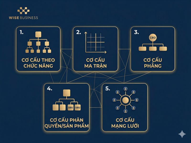 5 Mô hình cơ cấu tổ chức