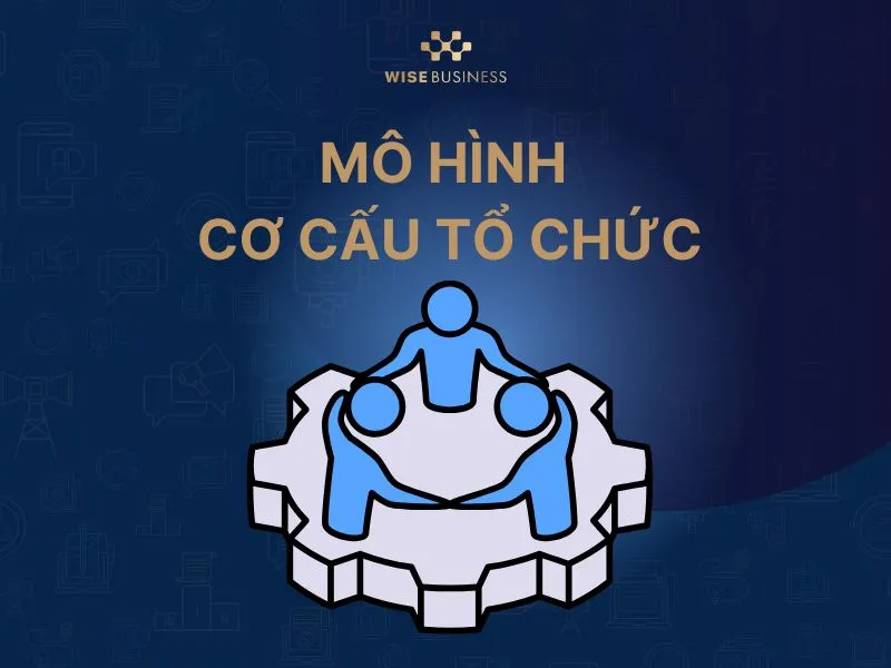 Mô hình cơ cấu tổ chức