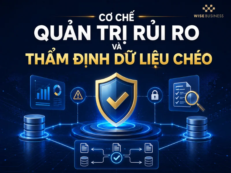 Cơ Chế Quản Trị Rủi Ro Và Thẩm Định Dữ Liệu Chéo
